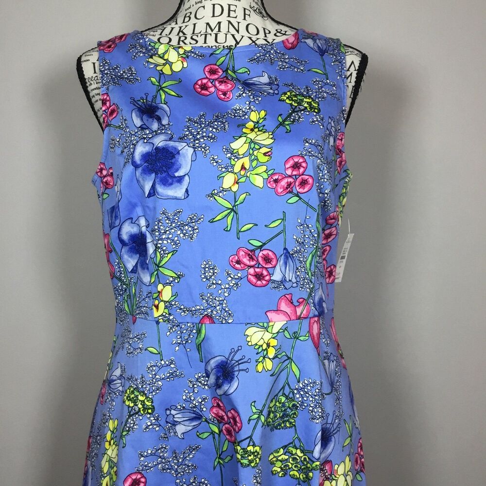 NWT Talbots fit ‘n flare 98% cotton dress light blue with floral 4P knee length - Picture 2 of 7